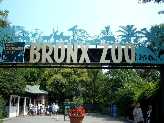 virtual trip bronx zoo
